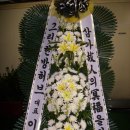 그린한방허브 이미지