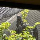 백조농장(2) | [경기/용인] 에버랜드 로스트 벨리 후기 | 로스트벨리 명당, 준비물
