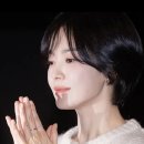 바우가든 이미지