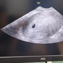 세종제일산부인과의원 이미지