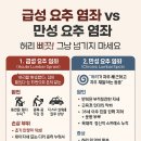 📌 급성 요추 염좌 vs 만성 요추 염좌 허리 삐끗! 그냥 넘기지 마세요 이미지
