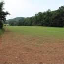 숲마을농원 이미지