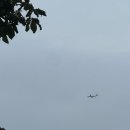 트래블지 이미지