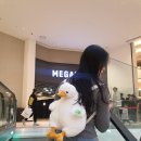 뽑기명가 이미지