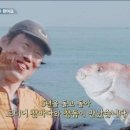 늘바다회센타