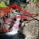 대명여행사 | 당일 여행사 – 하루 만에 떠나는 완벽한 여행