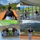 우리밀밭 | [하동] '숲속' 하동 뷰 맛집 카페, 지리산 뷰 카페, 녹차밭 뷰, 하동 말차라떼