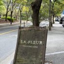 라플레르 | 전주 신시가지 감성 꽃가게 ‘ 라플레르 ’ 화분 구매 후기