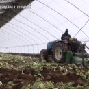 양대농장 이미지