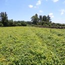 북동초등 이미지