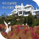 큰빛농장 | 제주 감귤체험 카페 서귀포 감귤체험농장