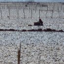 거차어촌체험휴양마을 이미지