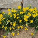 운림산방주차장 이미지