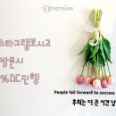 디벌션(Diversion) 이미지