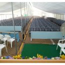 제자교회 주차장 이미지