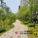 소담동 한국전력공사 앞 이미지