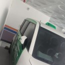 펫글타운 이미지