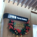 상지약국 | 유성 웰니스 재활병원 2~4층 여행