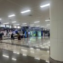 공항 동물병원 | 김포공항 동물검역센터 검역후기