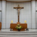 어양동-16 이미지