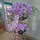 (주)케이앤디