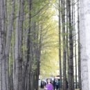 평강공주와 온달장군 이미지