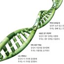 부자를 만드는 특별한 유전자… 머니 DNA 분석 [구미원룸주택관리정보카페] 이미지