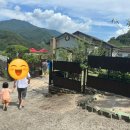 섬진강 더골드 이미지