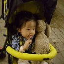 주문진 골프존 | 주문진 리조트 산과바다 베니키아 호텔