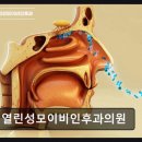 열린성모이비인후과의원 네이버블로그