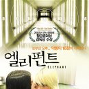 엘리펀트 이미지