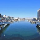 영덕떡집 이미지