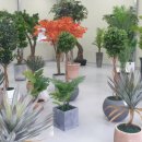 대동화원 이미지