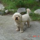 용천모텔 이미지