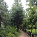 산림과환경 이미지