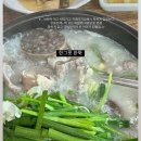 상효올레집