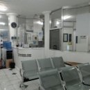 로이한의원 | 필리핀 마닐라 병원 추천｜누가병원&amp;강한의원