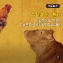 소닭보듯