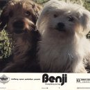 벤지동물병원 이미지