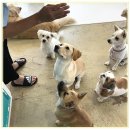 아이조아요양보호소 대구점 이미지