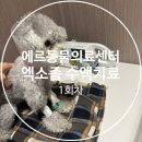 선릉동물병원 | 역삼동물병원 에르동물의료센터 첫 방문, 강아지 엑소좀 기반 재생회복 수액치료 1회차 후기