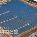 ○○무역태양광발전소 이미지