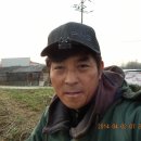 검사울 Daum카페