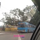 등대로R 이미지