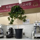 요섭농장 | 역사는! 최태성👍🏻 한국사 심화 셤 뿌시기 + 바리스타 양희정 스따뚜🧋