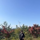 창포리 방파제(검문소 앞) | 10월 마지막 영덕