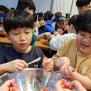 계명대강한태권도 이미지