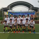 2016용인시 Premier Skills 한,일,미 유소년 축구페스티발 (중국 연변 축구팀 교류전) 이미지