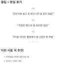 강아지 와요와요 | 와요 후기