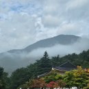 산성길 | [강원도 여행] 동해 두타산 등산코스 베틀바위 산성길 후기 (5시간 소요)
